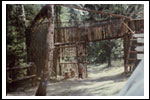 Obóz Drużyny Dęby Niesulice 1986 COLOR