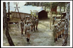 Obóz Drużyny Dęby Niesulice 1986 COLOR