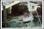 Obóz Drużyny Dęby Niesulice 1986 COLOR