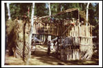 Obóz Drużyny Dęby Niesulice 1986 COLOR