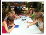 FOTO z Obozu Drużyny w Niesulicach 2012