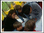 FOTO z Obozu Drużyny w Niesulicach 2012
