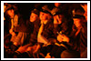 XXIII RAJD HUFCA  2008