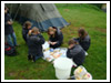 XXIII RAJD HUFCA  2008