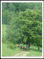 Rajd Hufca 2012 Stachowice