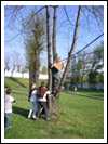 Turniej Rycerski Św.Jerzego 21.04.2007