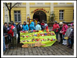 Wielka Orkiestra Świątecznej Pomocy 9.01.2011