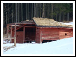Zimowisko Drużyny Dęby Sokołowsko 2011