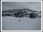Zimowisko Drużyny SOKOŁOWSKO  14-21.01.2012