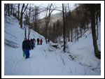 Zimowisko Drużyny SOKOŁOWSKO  14-21.01.2012