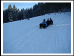 Zimowisko Drużyny SOKOŁOWSKO  14-21.01.2012