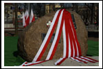 Dęby na Uroczystości Posadzenia Dębu Katyńskiego 16.04.2011