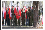 Dęby na Uroczystości Posadzenia Dębu Katyńskiego 16.04.2011