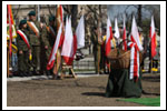 Dęby na Uroczystości Posadzenia Dębu Katyńskiego 16.04.2011