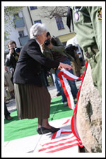 Dęby na Uroczystości Posadzenia Dębu Katyńskiego 16.04.2011