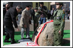 Dęby na Uroczystości Posadzenia Dębu Katyńskiego 16.04.2011