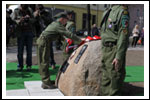 Dęby na Uroczystości Posadzenia Dębu Katyńskiego 16.04.2011