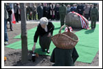 Dęby na Uroczystości Posadzenia Dębu Katyńskiego 16.04.2011