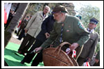 Dęby na Uroczystości Posadzenia Dębu Katyńskiego 16.04.2011