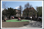 Dęby na Uroczystości Posadzenia Dębu Katyńskiego 16.04.2011