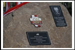 Dęby na Uroczystości Posadzenia Dębu Katyńskiego 16.04.2011