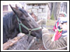 Rajd Bałwan 2007 Świebodzice, Jaskiniowy
