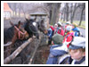 Rajd Bałwan 2007 Świebodzice, Jaskiniowy