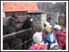 Rajd Bałwan 2007 Świebodzice, Jaskiniowy