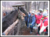 Rajd Bałwan 2007 Świebodzice, Jaskiniowy