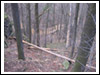 Rajd Bałwan 2007 Świebodzice, Jaskiniowy