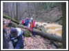 Rajd Bałwan 2007 Świebodzice, Jaskiniowy