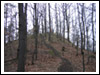Rajd Bałwan 2007 Świebodzice, Jaskiniowy