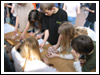 Rajd Bałwan 2007 Świebodzice, Jaskiniowy