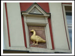 Turniej Zastępów Hufca Świdnica 16.06.2012