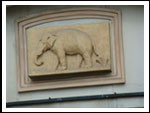 Turniej Zastępów Hufca Świdnica 16.06.2012